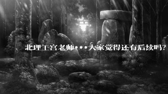 北理工宫老师***大家觉得还有后续吗？