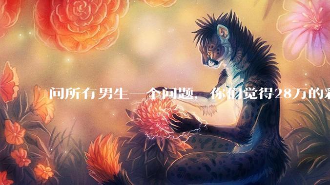 问所有男生一个问题，你们觉得28万的彩礼多吗？