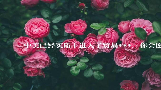 中美已经实质上进入了贸易***，你会愿意为此做什么？