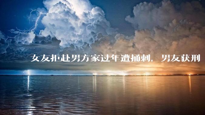 女友拒赴男方家过年遭捅刺，男友获刑 4 年 3 个月，该案件起到了哪些警示作用？