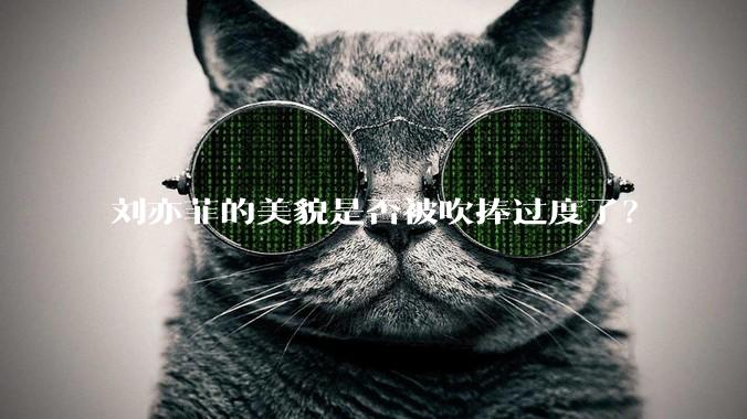 刘亦菲的美貌是否被吹捧过度了？