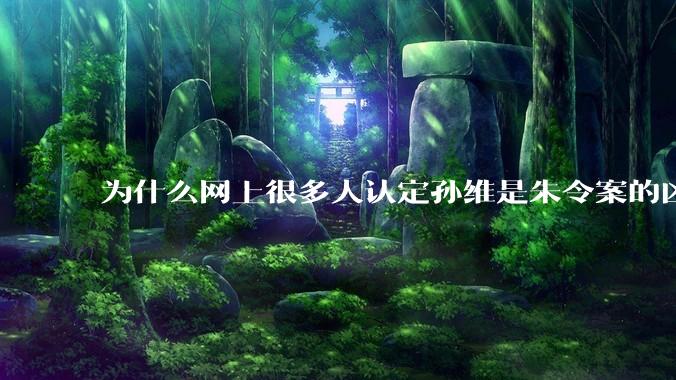为什么网上很多人认定孙维是朱令案的凶手？