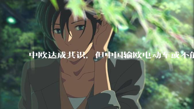 中欧达成共识，但中国输欧电动车或不能低于29万，29万的车在欧洲有竞争力吗？