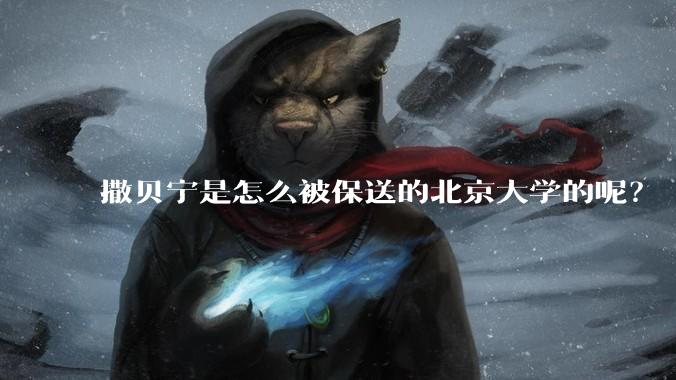 撒贝宁是怎么被保送的北京大学的呢？