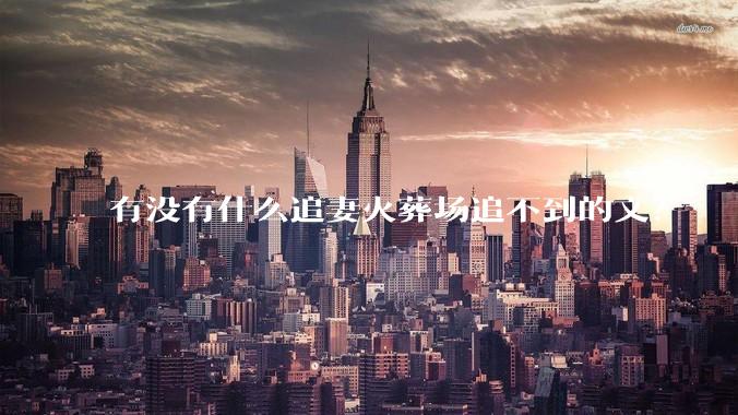 有没有什么追妻火葬场追不到的文？