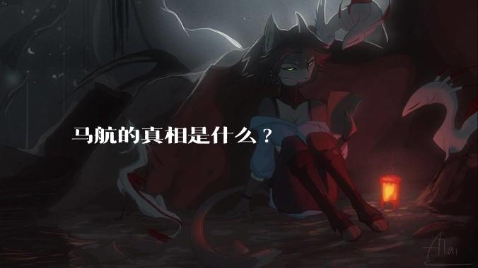 马航的真相是什么?