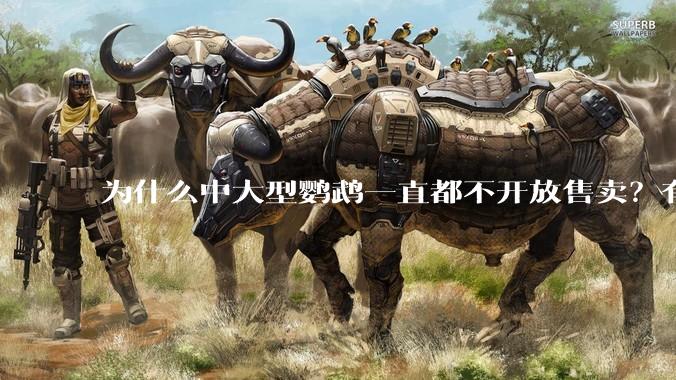 为什么中大型鹦鹉一直都不开放售卖？有哪些原因呢?