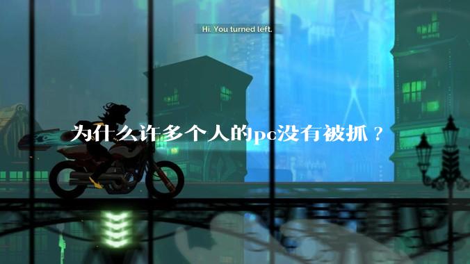 为什么许多个人的pc没有被抓?