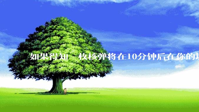 如果得知一枚核弹将在10分钟后在你的城市爆炸，除了等死还能干嘛？
