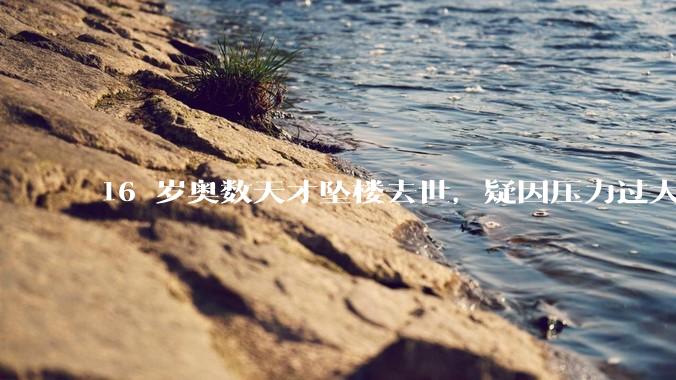 16 岁奥数天才坠楼去世，疑因压力过大，父母该从哪些方面关注孩子心理健康？可以怎样引导孩子释放压力？