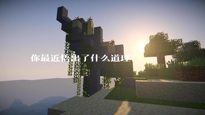 你最近悟出了什么道理？