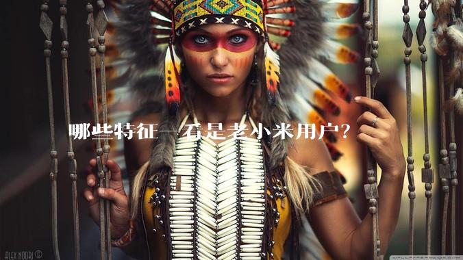哪些特征一看是老小米用户？