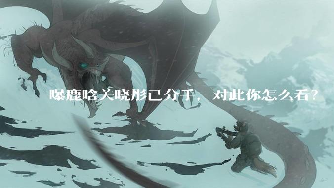 曝鹿晗关晓彤已分手，对此你怎么看？