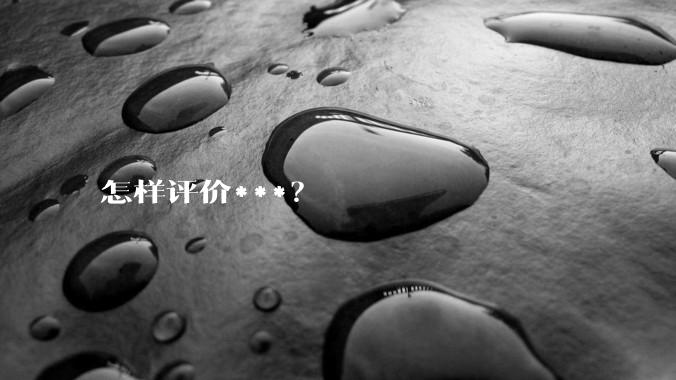 怎样评价***？