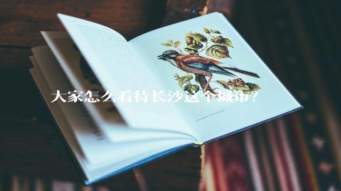 大家怎么看待长沙这个城市？